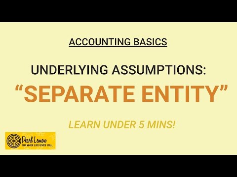 ACCOUNTING BASICS: Separate Entity, an Underlying Assumption