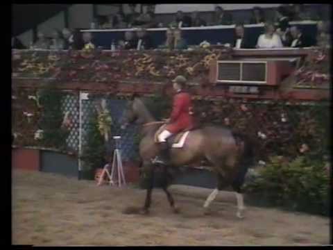 John Whitaker - Ryan's Son - 1978 King George V Gold Cup