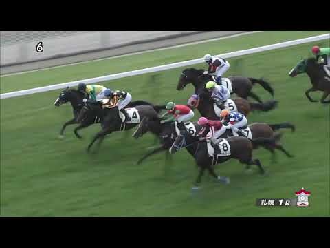2017 Japan 2YO Maiden - Divine Breeze (ディバインブリーズ) - 莫雷拉