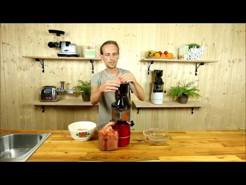 Meloneneis selber machen mit dem Zebra Whole Slow Juicer / Satpresse / Entsafter - Rohkost / Vegan