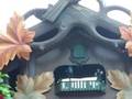 The Amzing Anticlimatic CooCoo Clock