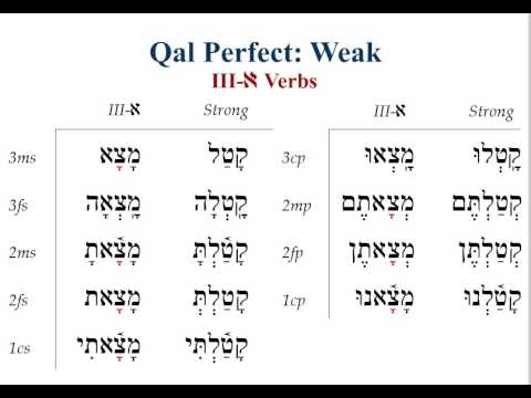 Basics of Biblical Hebrew Ch14 3rd א  Weak Verbs