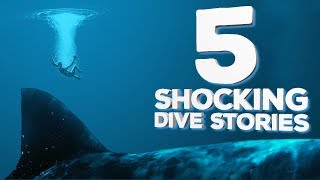 5 Shocking Dive Stories