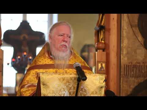 2011 10 16 Проповедь на Неделю 18 ю по Пятидесятнице притчи о зарытом сокровище, о жемчужине и о нев