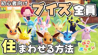 【初心者向け】１つの家にブイズ全員を住まわせる方法【ぽこあポケモン/Poco a Pokemon】