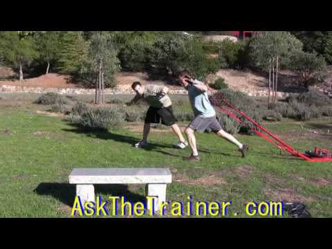 Power Sled Shoulder Press- Deltoids Upper Chest Triceps Core