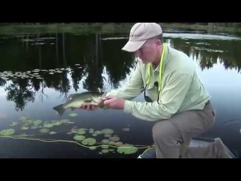 Lauzon Aviation - Fly Fishing on Hastie Lake in Algoma Country - YouTube