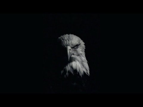 [FREE] Dark Boom Bap - Eagle | Old School Freestyle Boom Bap Type Beat