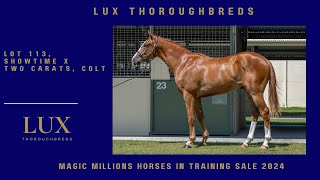 Download lagu Lot 113 Showtime x Two Carats Colt from Lux Thoroughbreds mp3