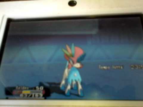 Pokémon Zaffiro Alpha - Punto Lotta - Episodio 8 - L'incubo della terra, Darkrai: VS Mewtwo