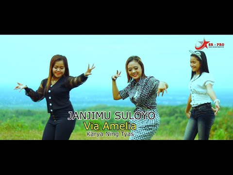 Via Amelia - Janjimu Suloyo