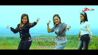 Download lagu Via Amelia - Janjimu Suloyo mp3