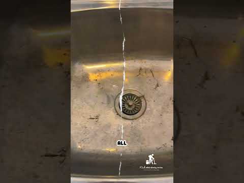 Cleaning Video