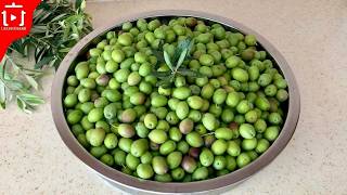 Kırmadan Çizmeden Yeşil Zeytin Nasıl Yapılır #yeşilzeytin #zeytin #kırmazeytin