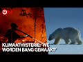 Wat klopt van de klimaatverandering waarover de media berichten?