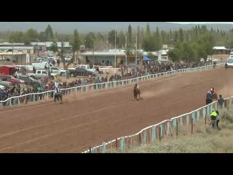 EL 14 - Club Hípico Viento Sur Cutral Co 30-01-2021