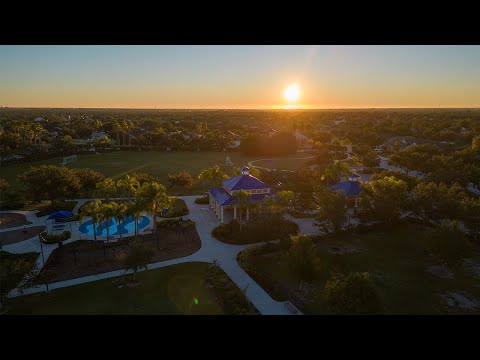 Brendan McDowell video