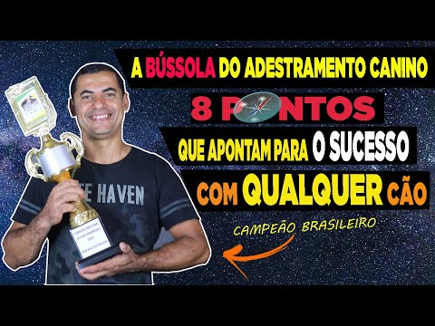 O GPS DO ADESTRAMENTO CANINO - SEGREDO DE CAMPEÃO