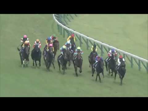 2021.06.06 Yasuda Kinen (JPN) - Danon Kingly