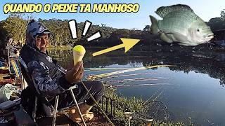 PESCARIA DE TILAPIA COM  BOIA NO PESQUEIRO  BOA VISTA !