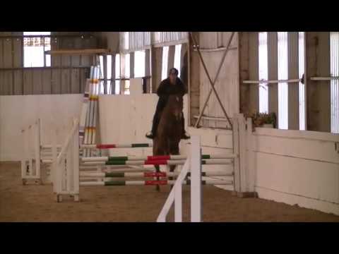 Uno 1 st training show