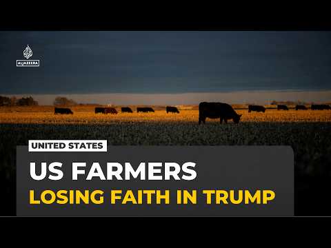 US farmers squeezed by trade war, losing faith in Trump