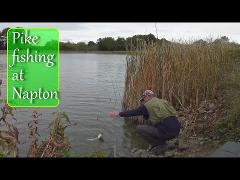 Pike fishing at Napton with Andrew Bolderson