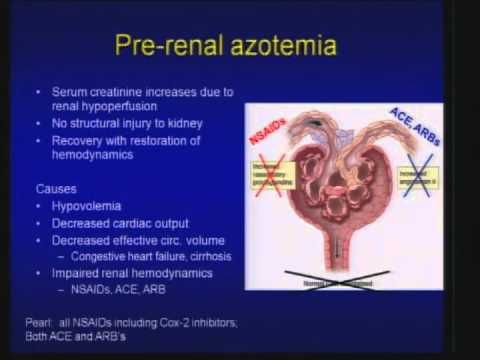 01 Acute Kidney Injury