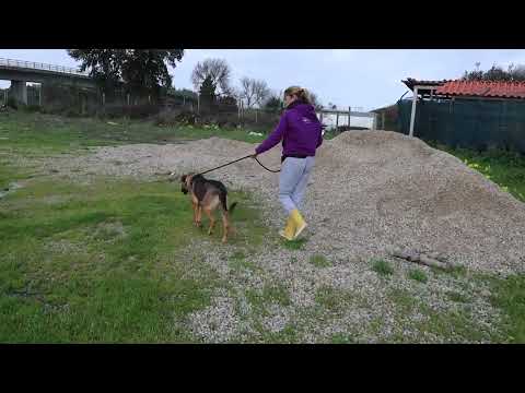 Vídeo de JOSY