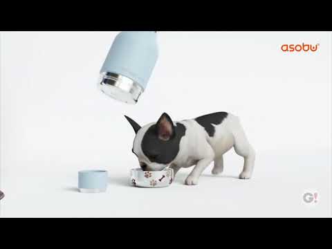 Asobu® Dog Bowl Bottle