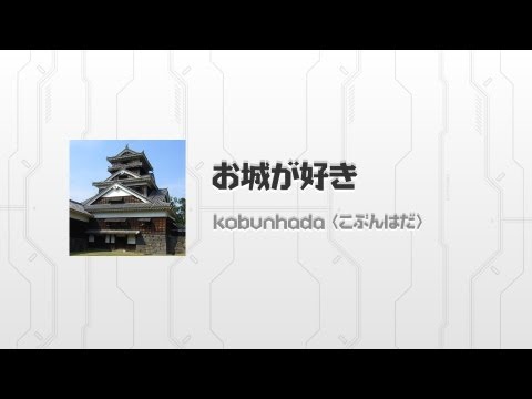 I like castle in Japan Video