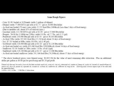 Individualism 13_of_53