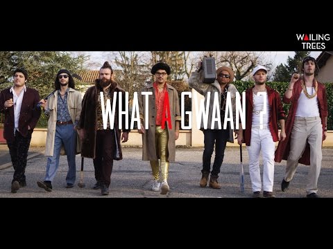Wailing Trees - What A Gwaan? (Clip Officiel)