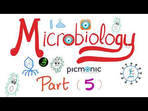 Microbiology - Bacillus anthracis, Bacillus cereus, Mycobacteria (TB, Leprosy) - Picmonic - Part 5