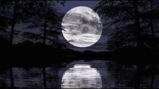 Elin Can Vayiç - sevdanı ver bana