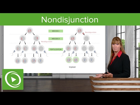 Nondisjunction: Chromosomal Disorders & Aneuploidies – Medical Genetics | Lecturio
