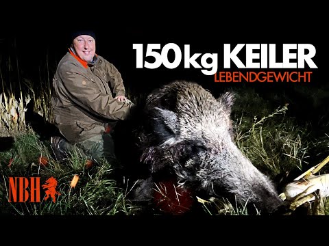 🇩🇪 BOAR GIANT 150kg live weight ⁉️ The corn 🌽 proved fatal. How did Stocki do it?
