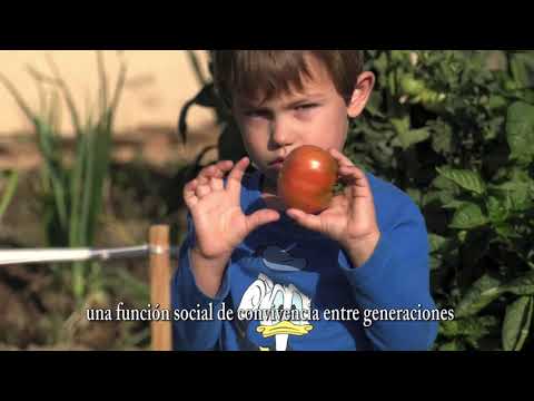 Huertos Urbanos de Salamanca: los frutos más saludables de los fondos FEDER