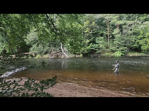 Mörrum - Research at the northen parts  by @fly-caster