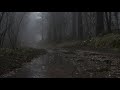 Relaxing Sound Of Rain Forest Puddles 2 Hours Light Rain And Rain Drops Falling From Trees