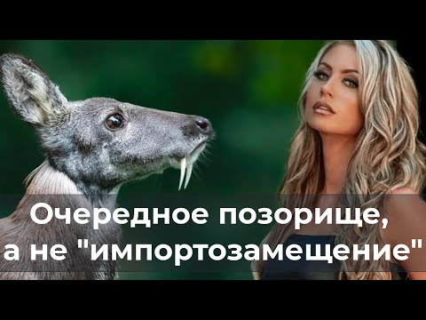 Очередное позорище, а не "импортозамещение"