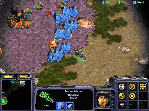 TvZ on phyton 2 port wraith perspective [FPVID]