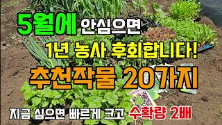 5월에 심는 추천작물 20가지 지금 안심으면 1년농사 후회합니다 #5월에심는작물 #텃밭농사