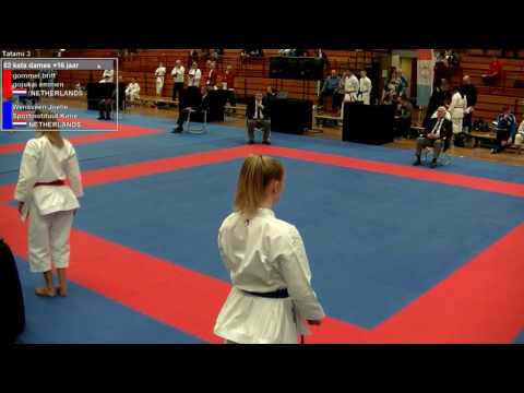 NK Senioren en Teams 2017 Apeldoorn Tatami 3