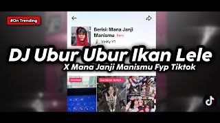 Download lagu DJ UBUR UBUR IKAN LELE X MANA JANJI MANISMU FYP TIKTOK mp3