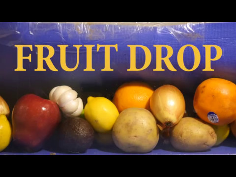 FRUIT DROP
