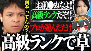 【高級ランク】世界大会スクリムのはずがただの"高級ランク"になってしまい、困惑するユリース【Euriece/ユリース/4rufa/Axis/Wabu/APEX】
