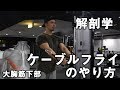 大胸筋下部を鍛えるケーブルフライ(クロス)のやり方【解剖学】