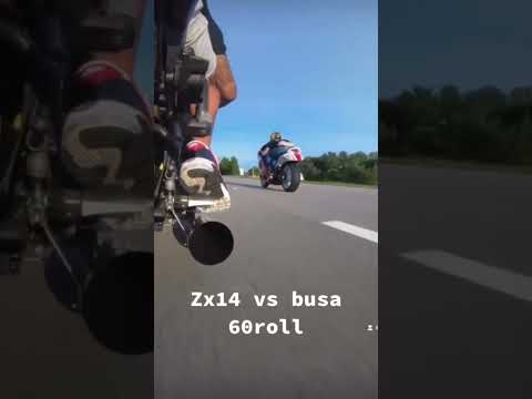 ZX14 vs Hayabusa (ATD) 60 roll #shorts