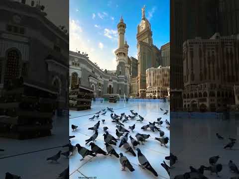 How to make a Beautiful✨ video#shorts